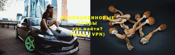ALPHA PVP Новозыбков