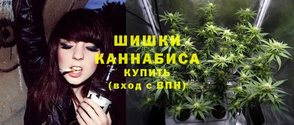 ПСИЛОЦИБИНОВЫЕ ГРИБЫ Усолье-Сибирское