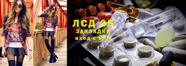 ALPHA PVP Новозыбков