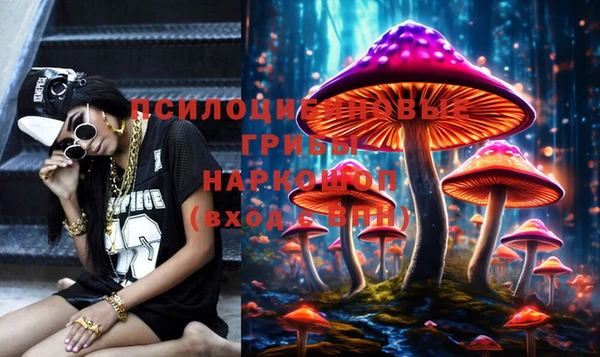 a pvp Новокубанск