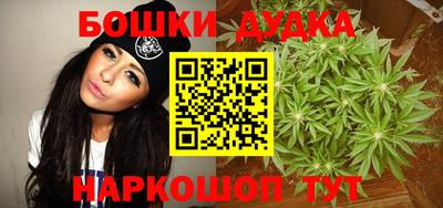 apvp Гатчина