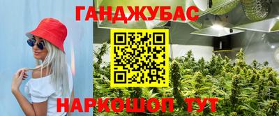 apvp Гатчина