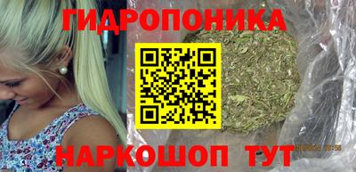 гашик Гагарин