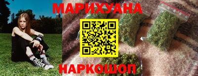 apvp Гатчина