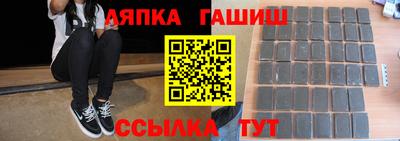 гашик Гагарин