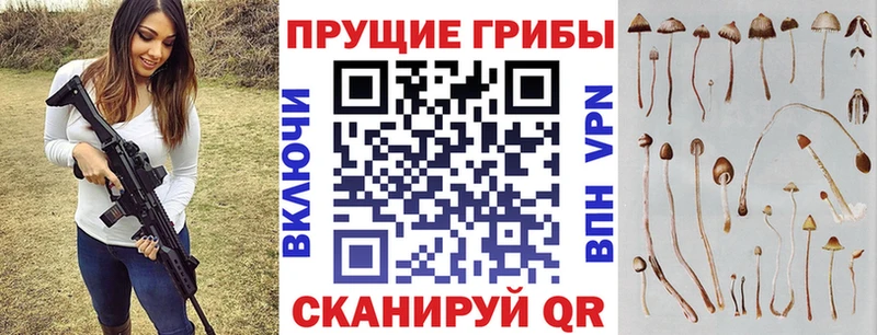 Галлюциногенные грибы GOLDEN TEACHER  Киреевск 