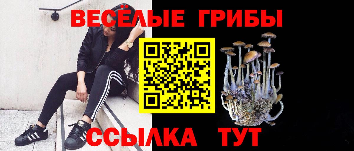 Псилоцибиновые грибы Psilocybe  Псилоцибиновые грибы GOLDEN TEACHER  купить закладку  Киреевск  Вход с VPN 