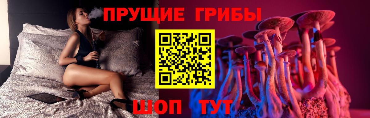 Псилоцибиновые грибы Magic Shrooms  Киреевск 