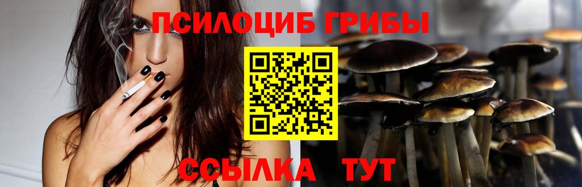 Псилоцибиновые грибы GOLDEN TEACHER Киреевск